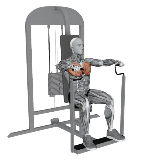 Chest Press exercise demonstration