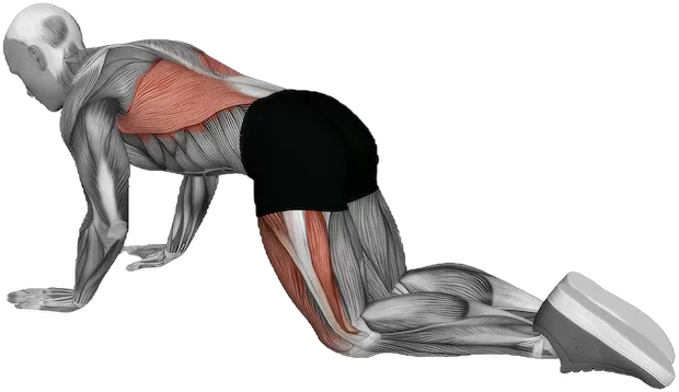 Child Pose exercise demonstration