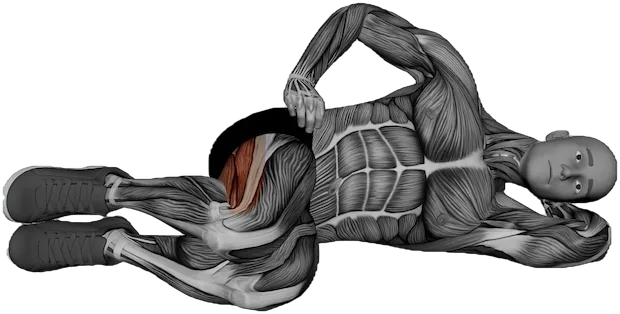 Clamshell exercise demonstration
