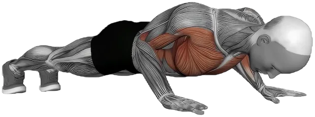 Clap Push Up exercise demonstration