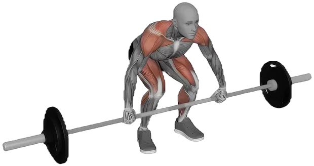 Clean and Press exercise demonstration
