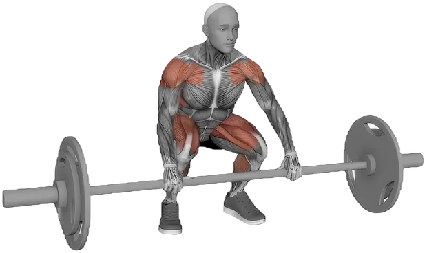 Clean exercise demonstration