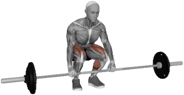 Clean Deadlift exercise demonstration