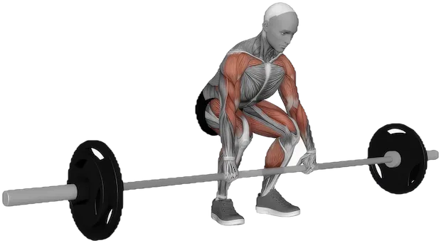 Clean Pull exercise demonstration