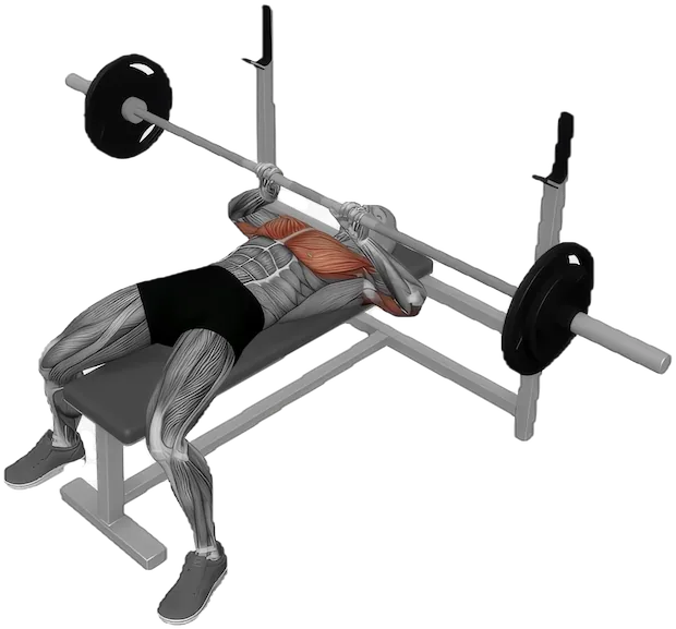 Close Grip Bench Press exercise demonstration