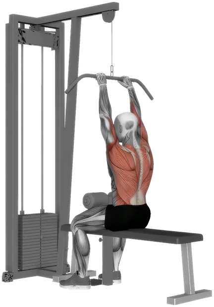 Close Grip Lat Pulldown exercise demonstration