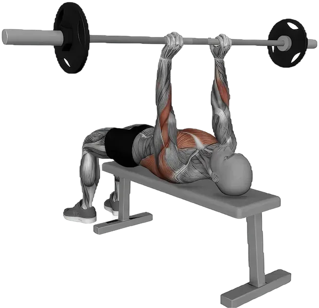 Close Grip Press exercise demonstration