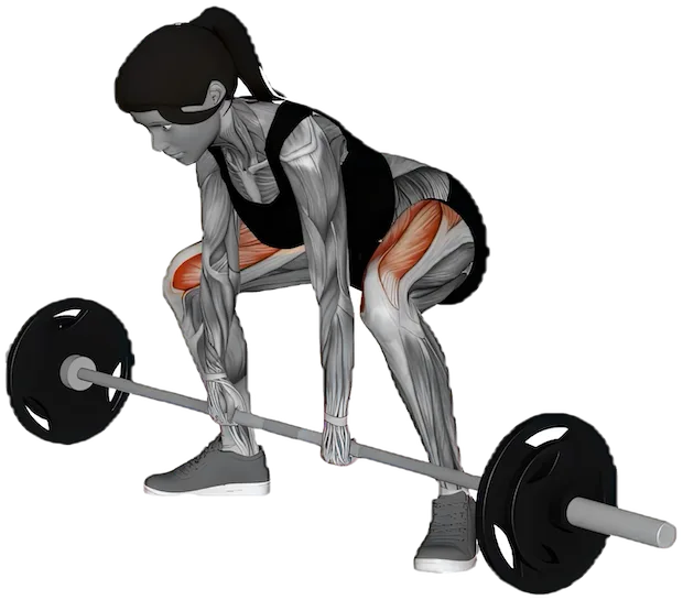 Coan Deadlift exercise demonstration