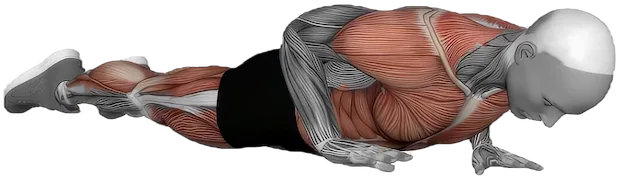 Cobra Push Up exercise demonstration