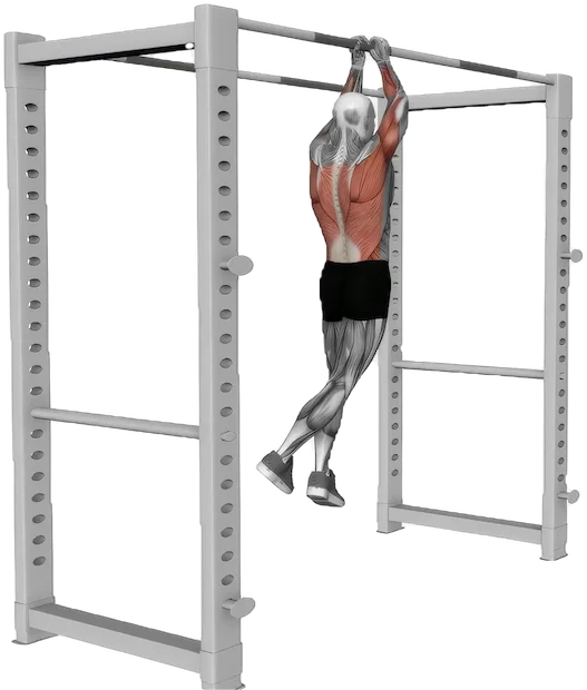 Commando Pull Up exercise demonstration