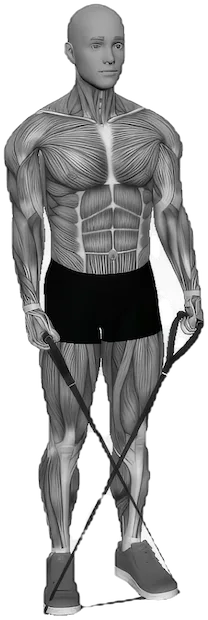 Cross-Body Hip Abduction exercise demonstration