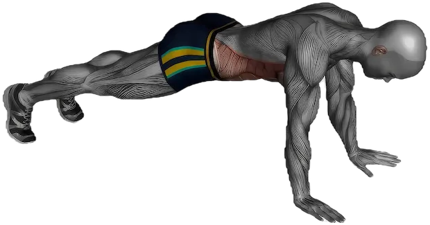 Cross-Body Mountain Climber exercise demonstration