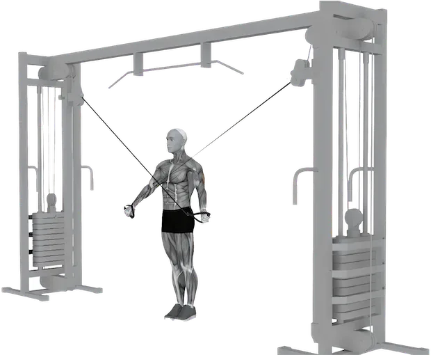Cross-Body Pushdown exercise demonstration