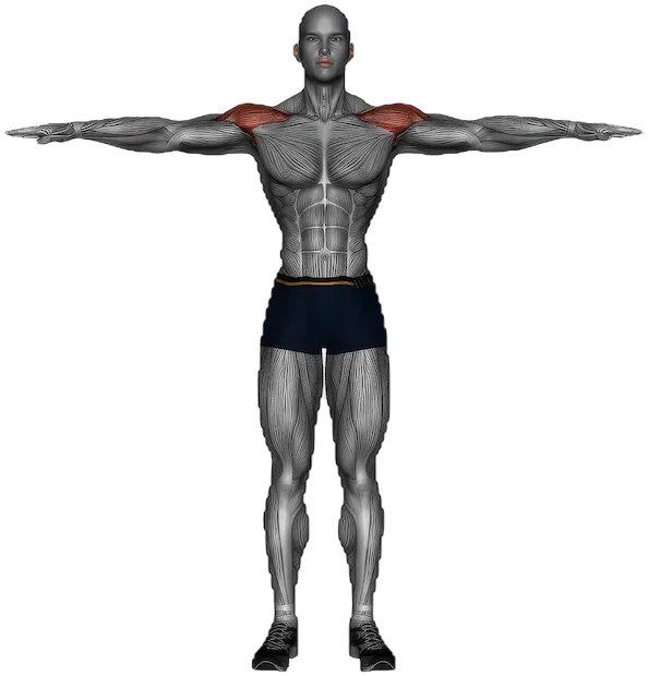 Cross-Body Shoulder Stretch exercise demonstration