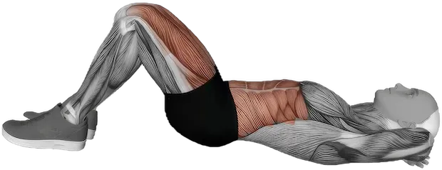 Crunch Leg Raise exercise demonstration