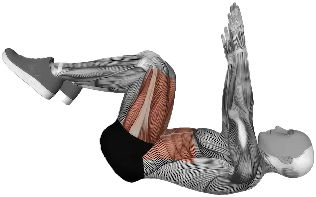 Dead Bug exercise demonstration