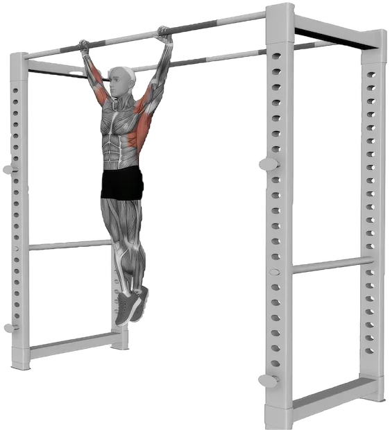 Dead Hang exercise demonstration