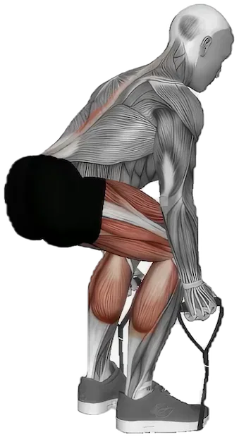 Deadlift exercise demonstration
