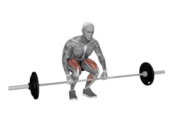 Deadlift exercise demonstration