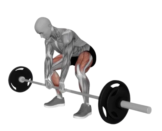 Deadlift Sumo exercise demonstration