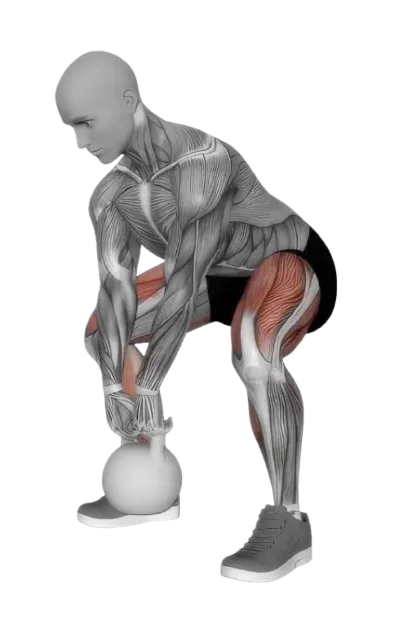 Deadlift Sumo exercise demonstration