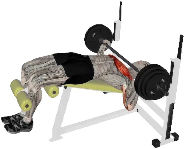 Decline Bench Press exercise demonstration