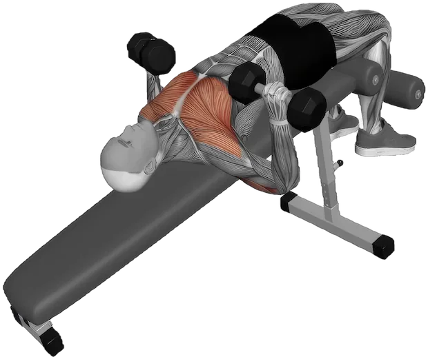 Decline Bench Press exercise demonstration