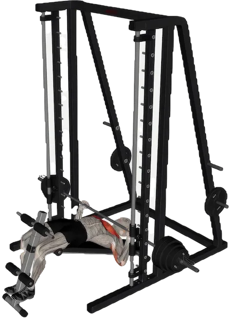 Decline Bench Press exercise demonstration