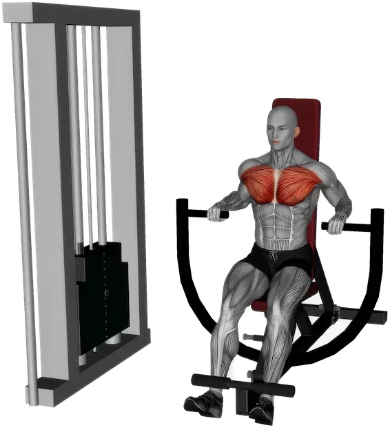 Decline Chest Press exercise demonstration