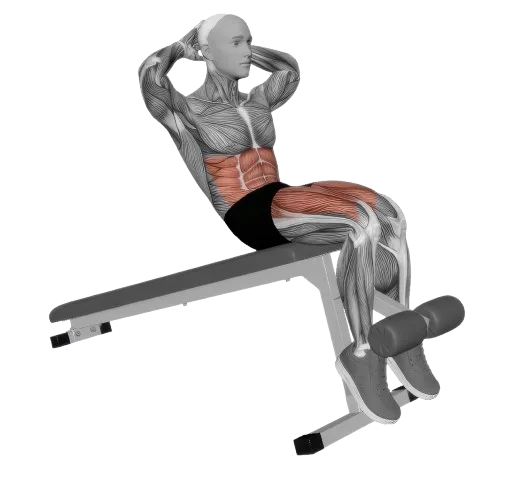 Decline Crunch exercise demonstration