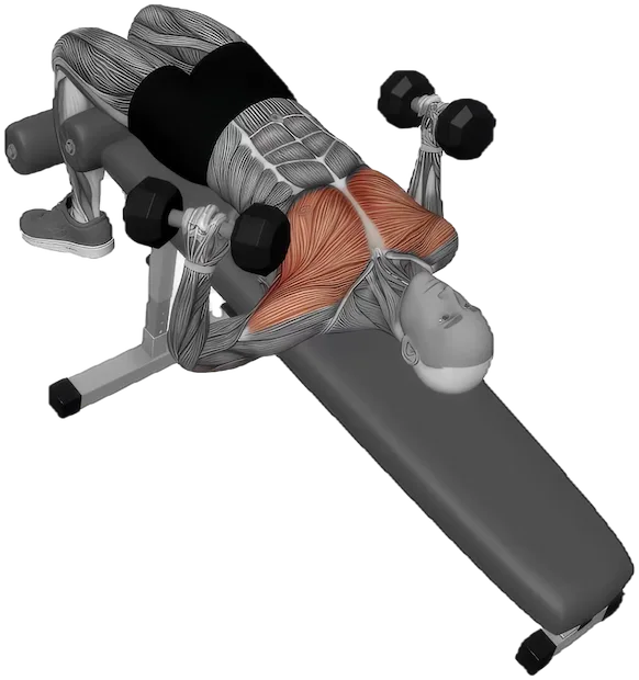 Decline Hex Press exercise demonstration