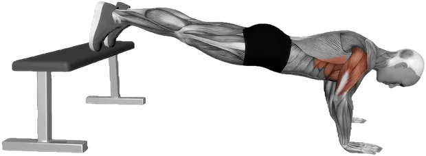 Decline Push Up exercise demonstration