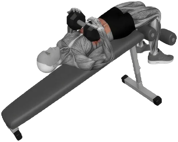 Decline Sit Up exercise demonstration