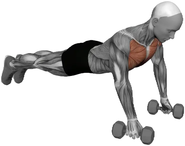 Deficit Push Up exercise demonstration