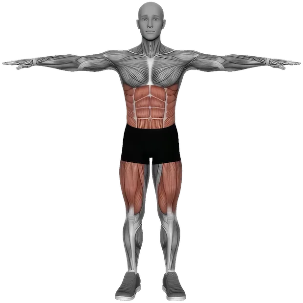 Diagonal Lunge exercise demonstration