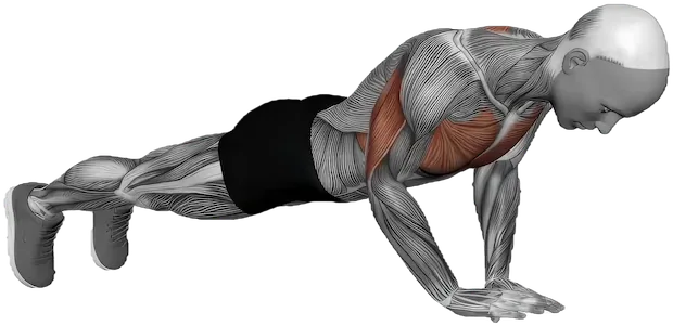 Diamond Push Up exercise demonstration