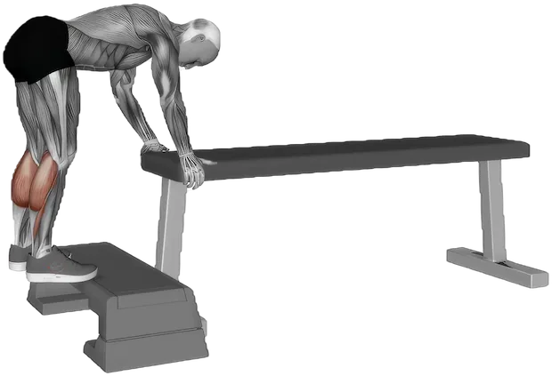 Donkey Calf Raise exercise demonstration