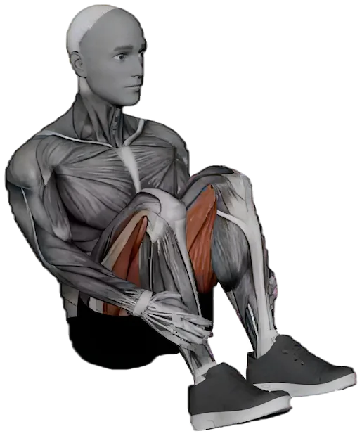 Double Pigeon Pose exercise demonstration