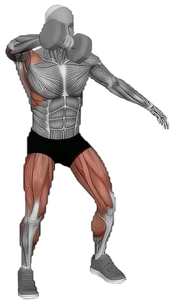 Dumbbell Snatch exercise demonstration