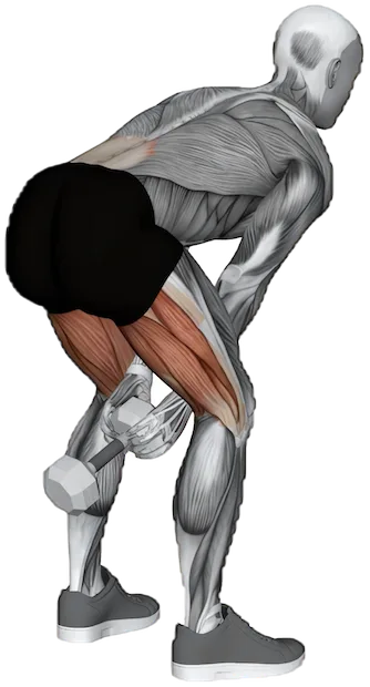 Dumbbell Swing exercise demonstration