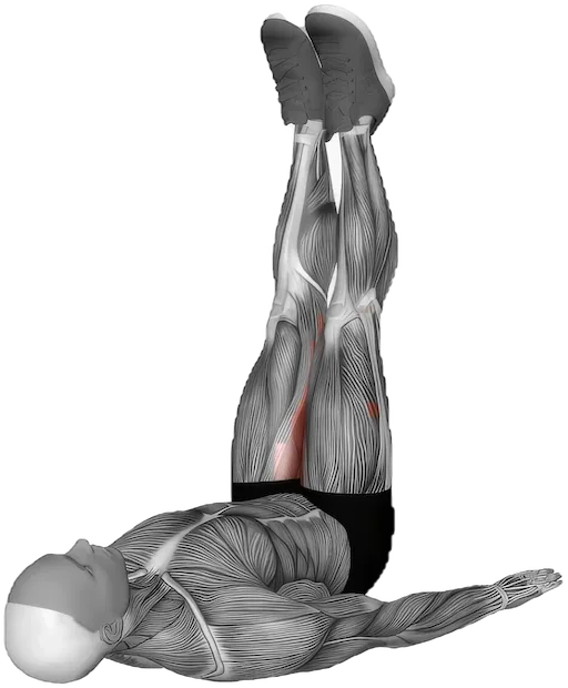 Dynamic Adductor Stretch exercise demonstration