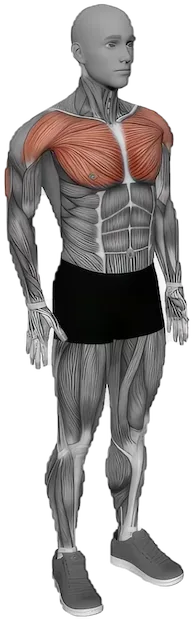 Elbows Back Stretch exercise demonstration