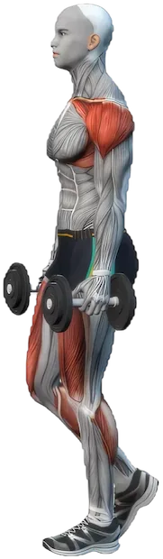 Farmer's Carry exercise demonstration