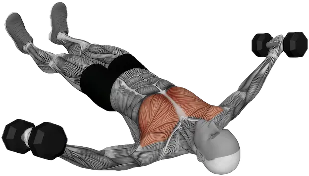 Floor Fly exercise demonstration