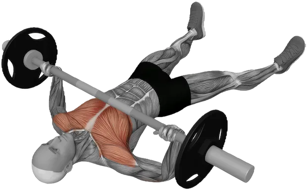 Floor Press exercise demonstration