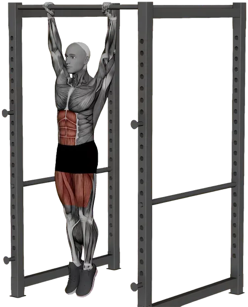 Front Lever Raise exercise demonstration