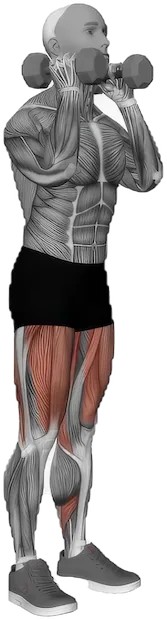 Front Rack Lunge exercise demonstration