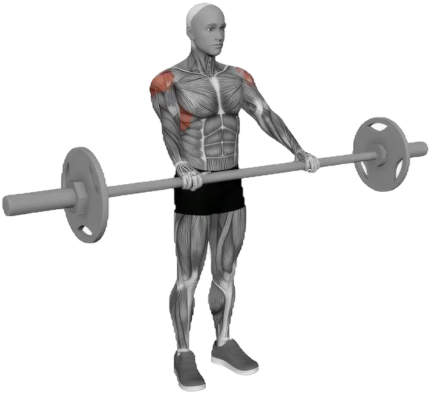 Front Raise exercise demonstration