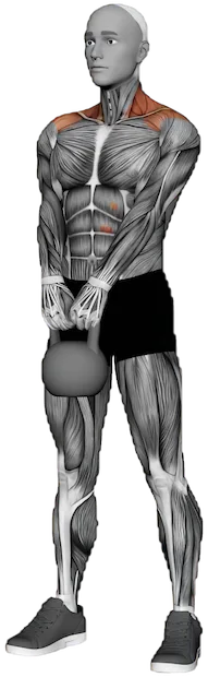 Front Raise exercise demonstration