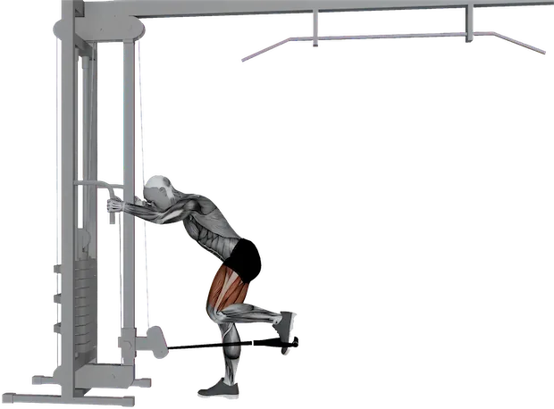 Glute Kickback exercise demonstration